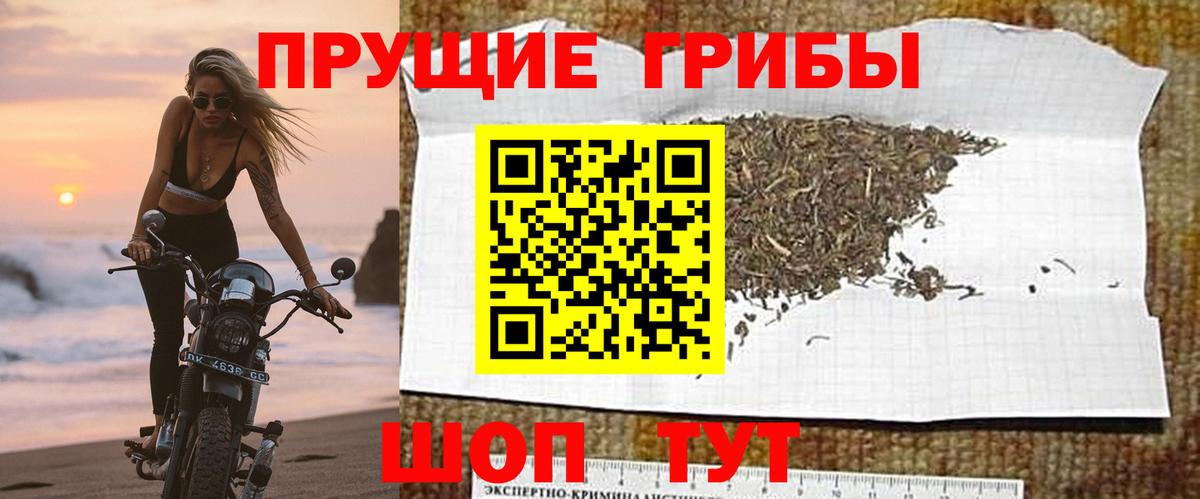 Прохладный  Псилоцибиновые грибы ЛСД  Галлюциногенные грибы мицелий  Вход с VPN 