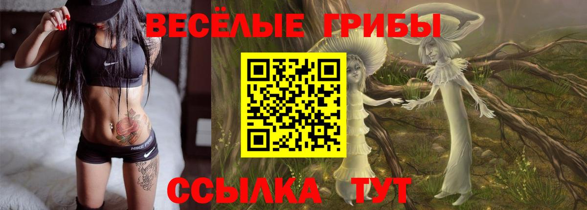 Псилоцибиновые грибы мухоморы Прохладный